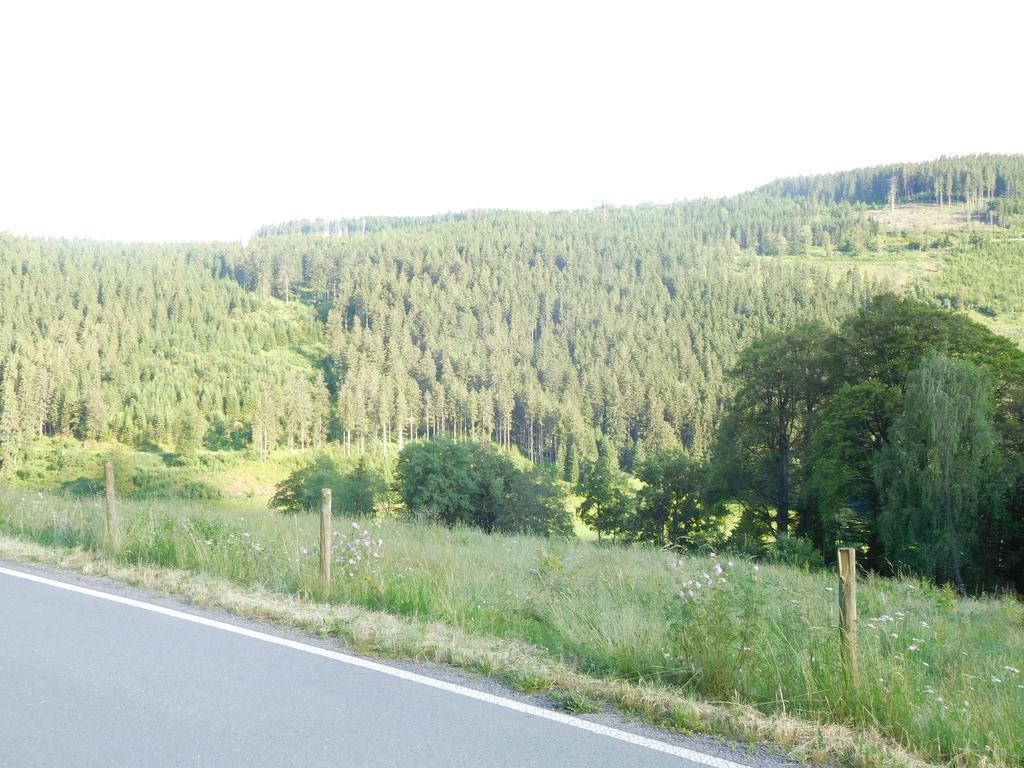 Apartment Schluchsee Exterior foto